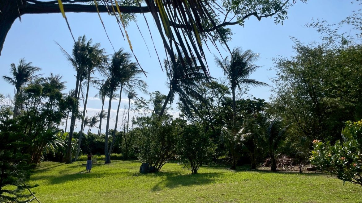 生命的味道•在山海之間 | Yoga House台東瑜珈師資培訓